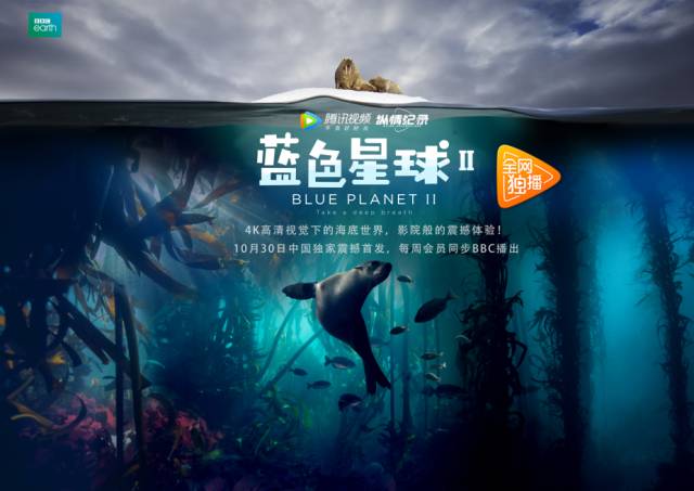 卡哇伊直播1.71官方版剧照2